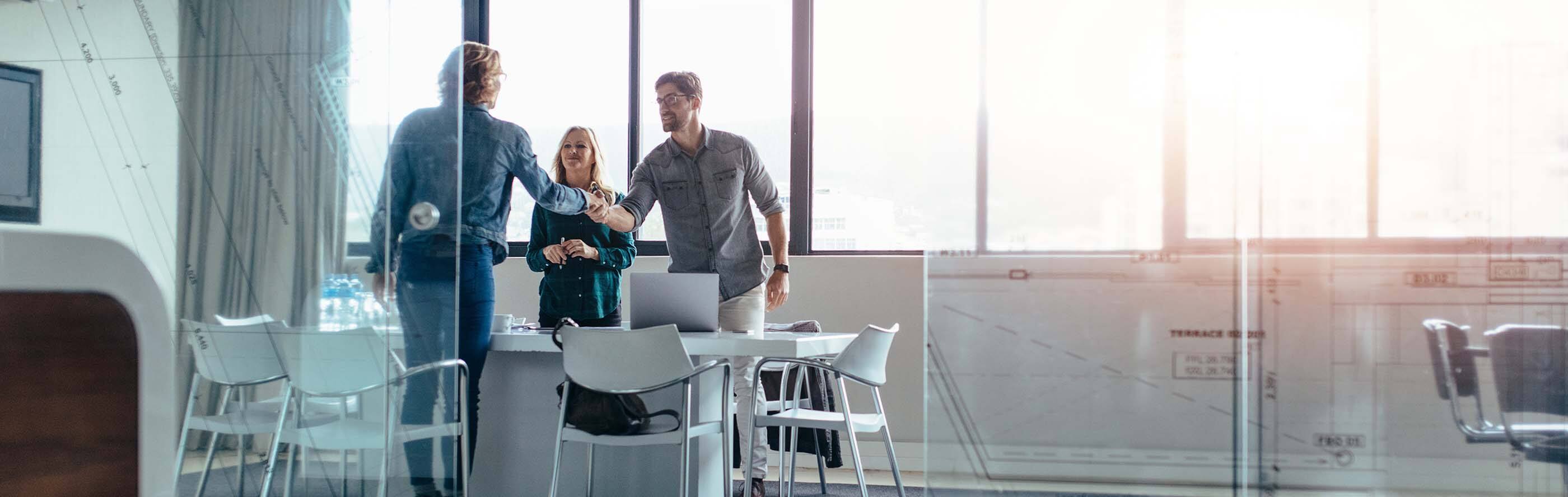 Video surveillance video management systems