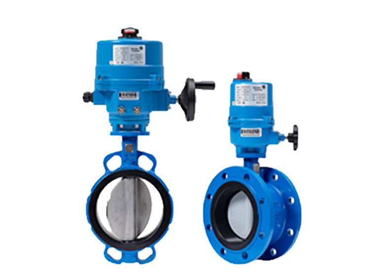 Displays two examples of butterfly valves