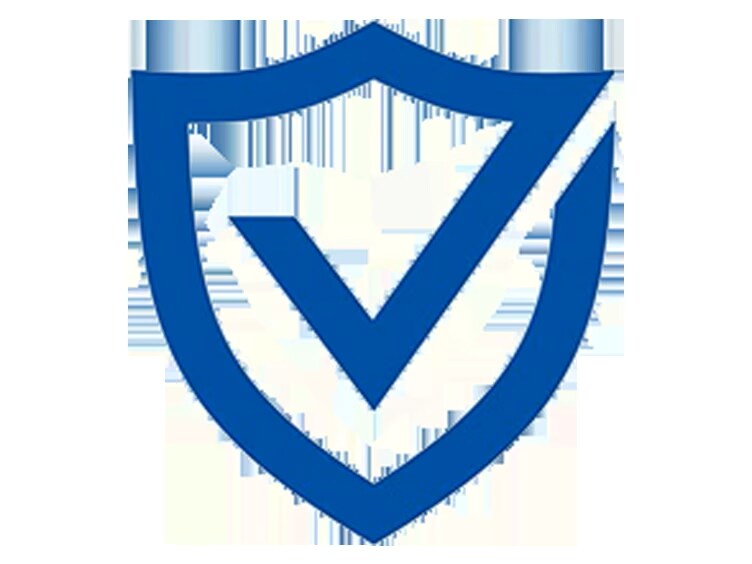 Icon depicting cybersecurity
