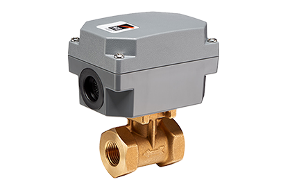 flow control switch